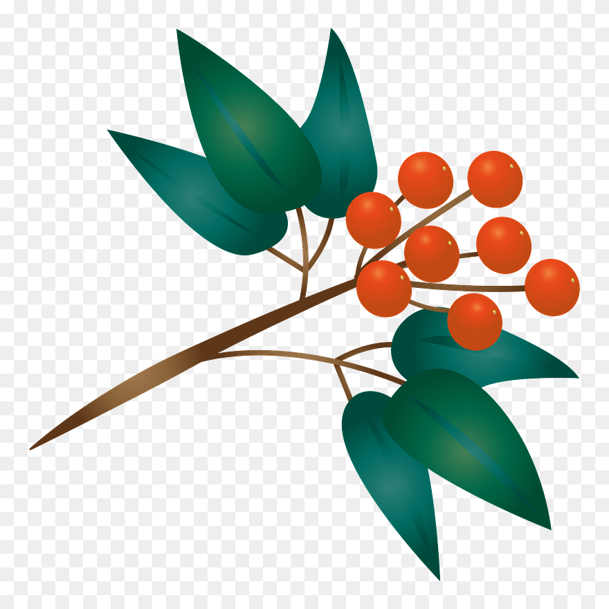 Heavenly Bamboo Clipart - 南天 の 実 イラスト - Png Download