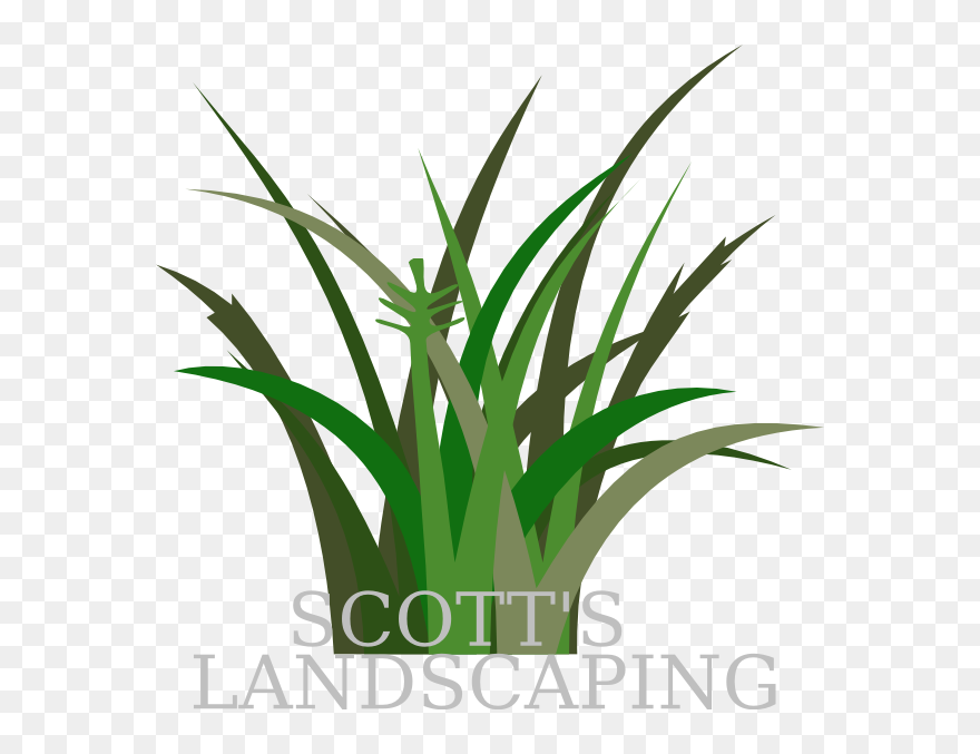 Transparent Background Vegetation Clipart - Png Download