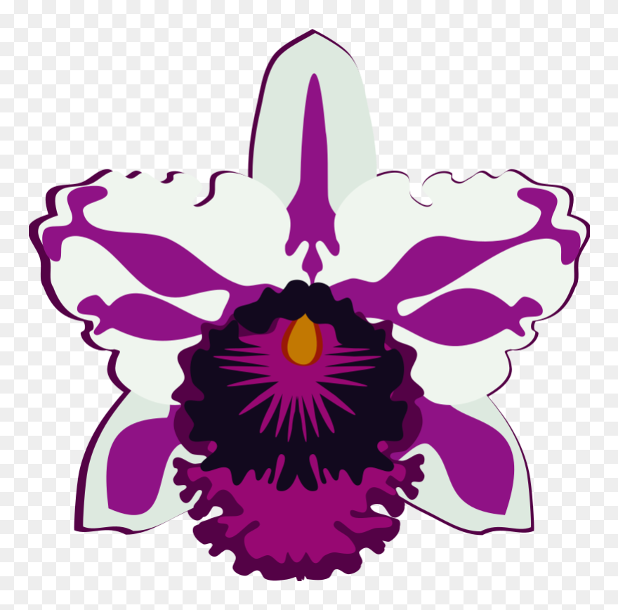 Cattleya-07k - Orchid Drawing Easy Clipart