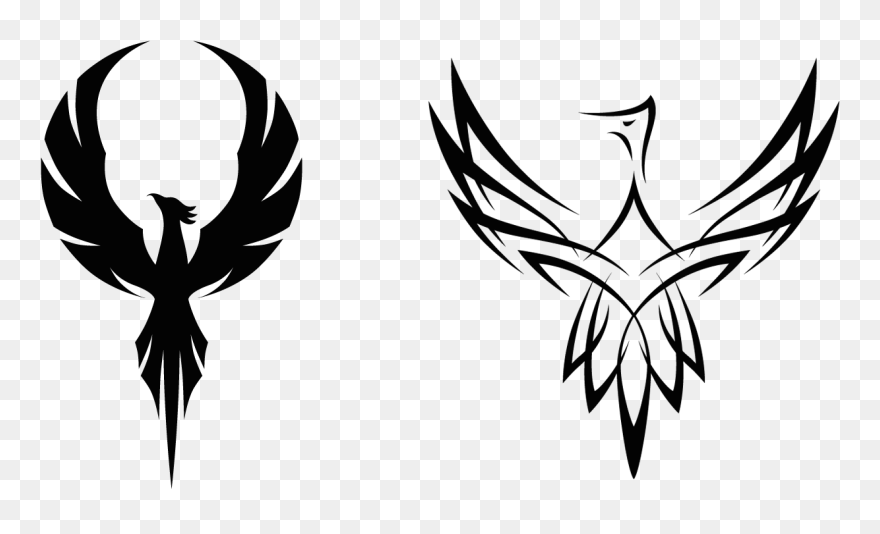 Phoenix Logo Clip Art - Phoenix Line Art - Png Download