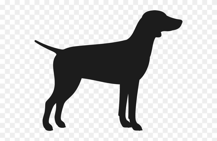 Labrador Retriever Flat-coated Retriever Dog Breed - Dog Silhouette Pointer Transparent Clipart