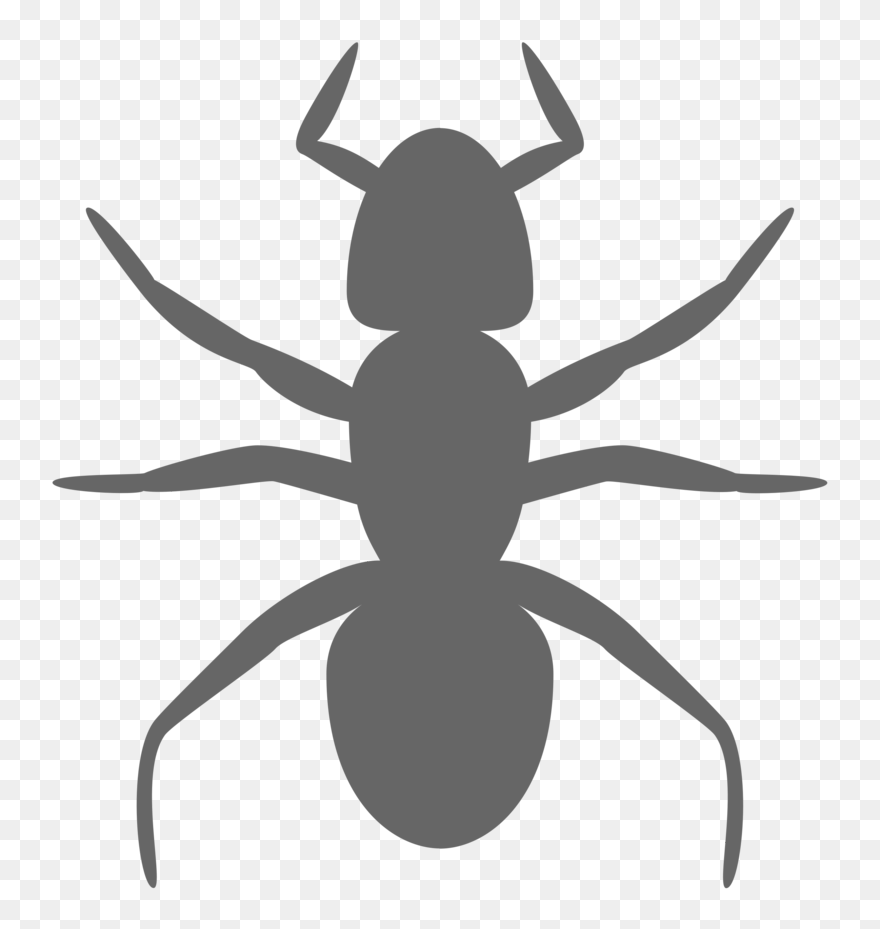 Ants Clipart Cave - Ant Clip Art - Png Download