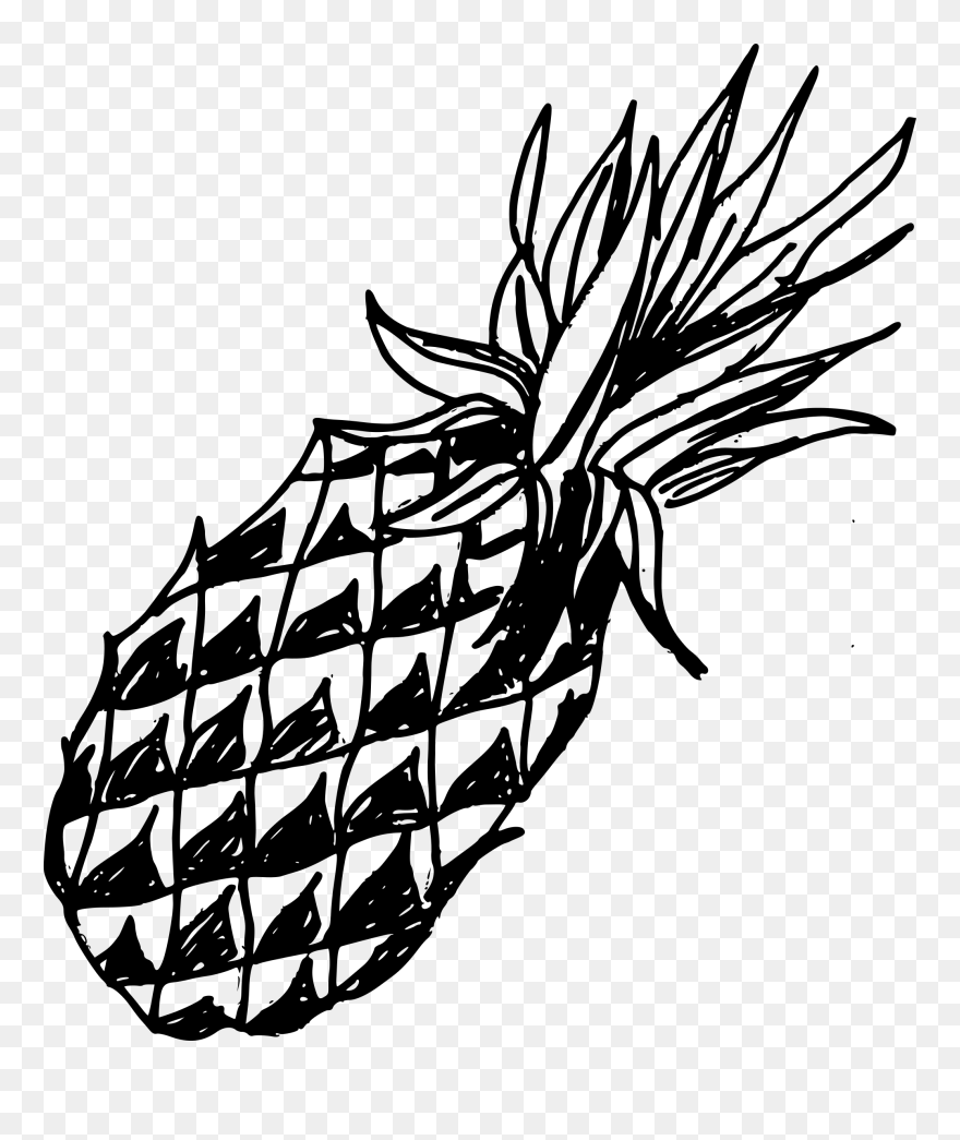 Pineapple Old Drawing Clipart