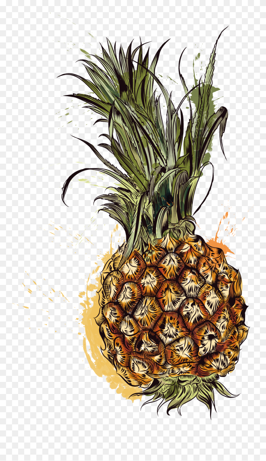 Pineapple Tropic Fruits - Pineapple Clipart