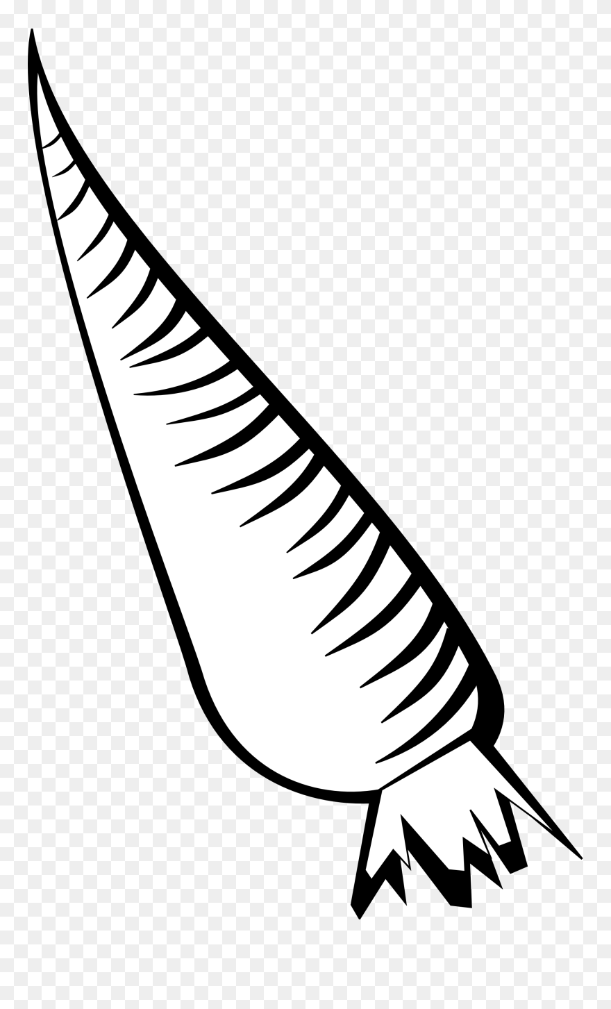 Search Results Â» Carrot Colouringbook - Black And White Clipart - Png Download