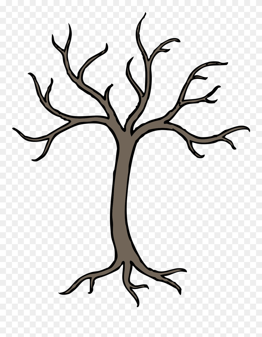 Line Art,plant,flower - Cartoon Tree Branch Drawing Clipart