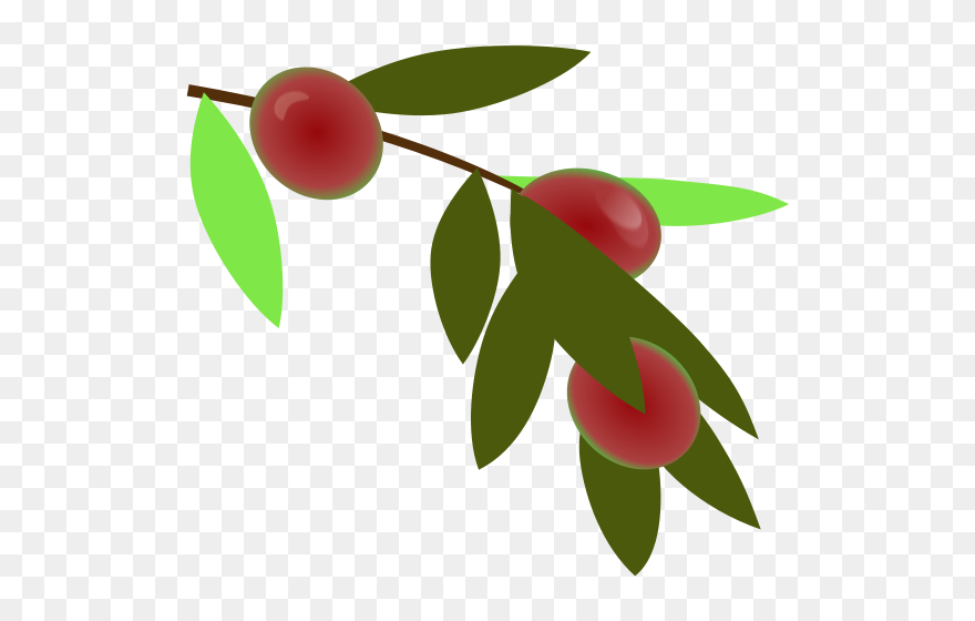Free Clip Art "planta De Cafe Colombiano - Coffee Plant Clipart - Png Download