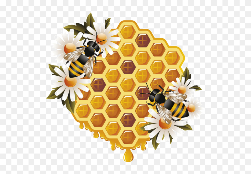 Honey Bee Clipart Transparent - Bee And Honey Png