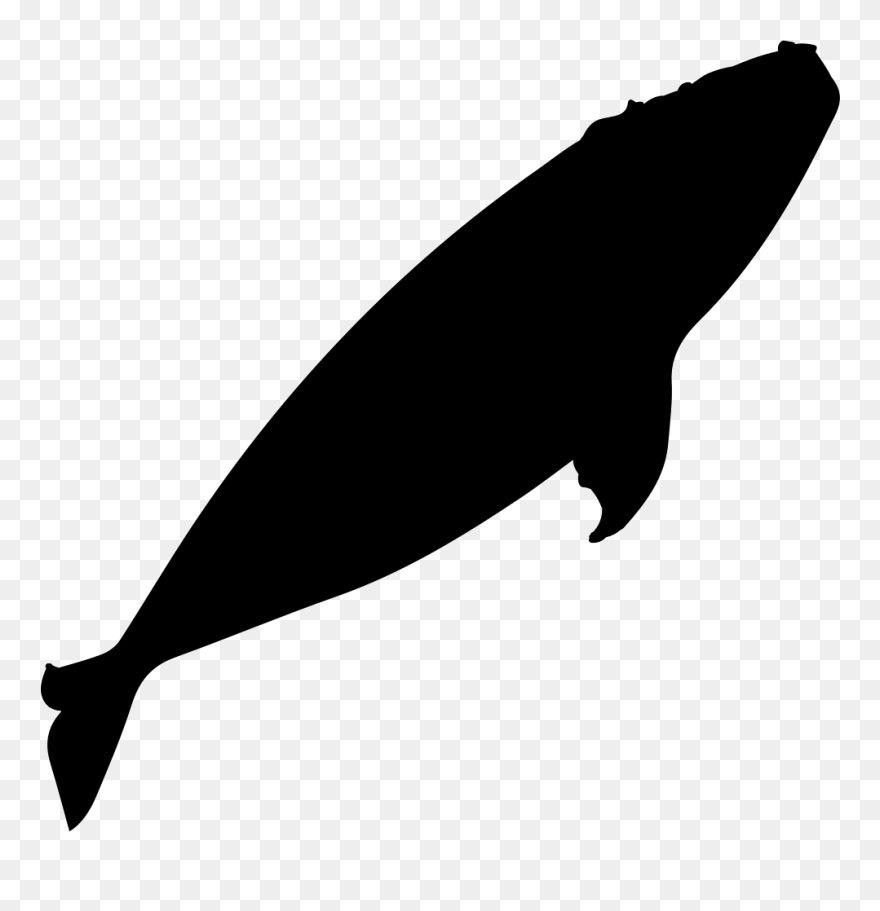 Southern Right Whale Whale Watching Silhouette - Right Whale Silhouette Clipart
