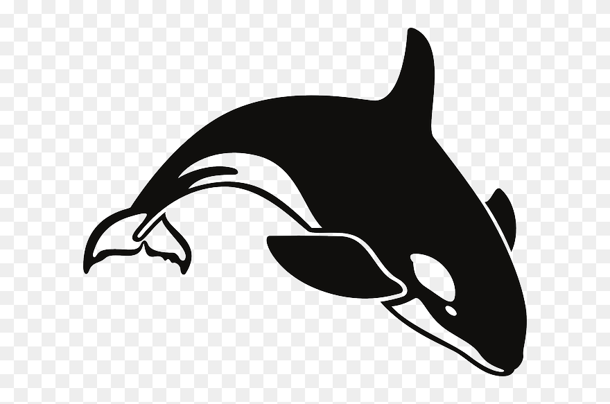 Water, Ocean, Whale, Swim, Killer, Swimming - Orca Clipart Black And White - Png Download