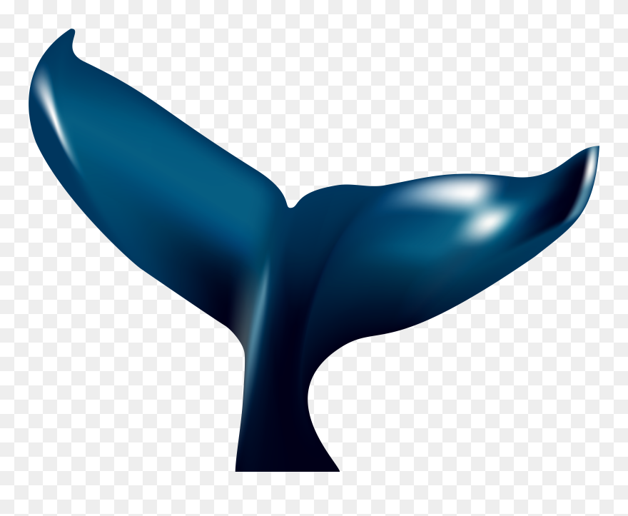 Whale Tail Blue Whale Clip Art - Png Download