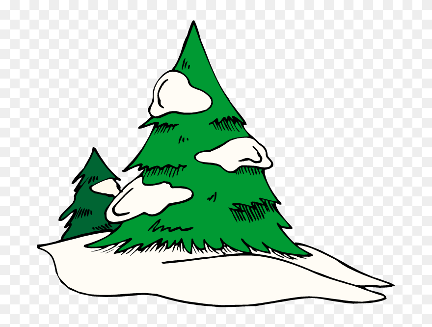 Snow Covered Trees Png Clipart Transparent Png