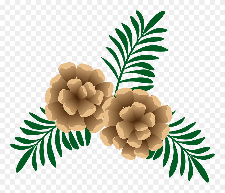 Pinecone Clipart - Illustration - Png Download