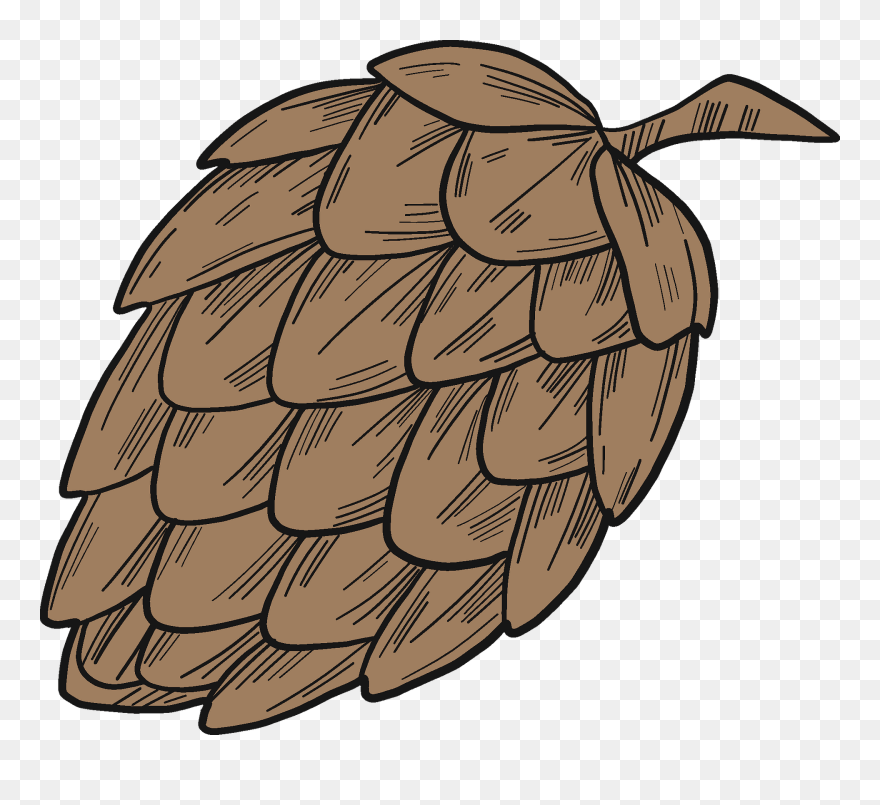 Seedless Fruit Clipart