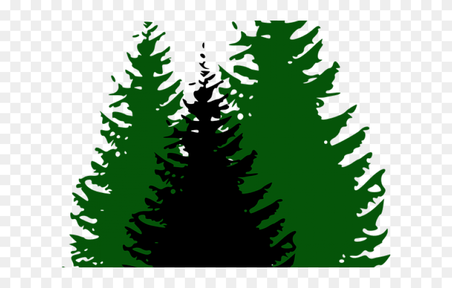 Pine Tree Vector Png Clipart
