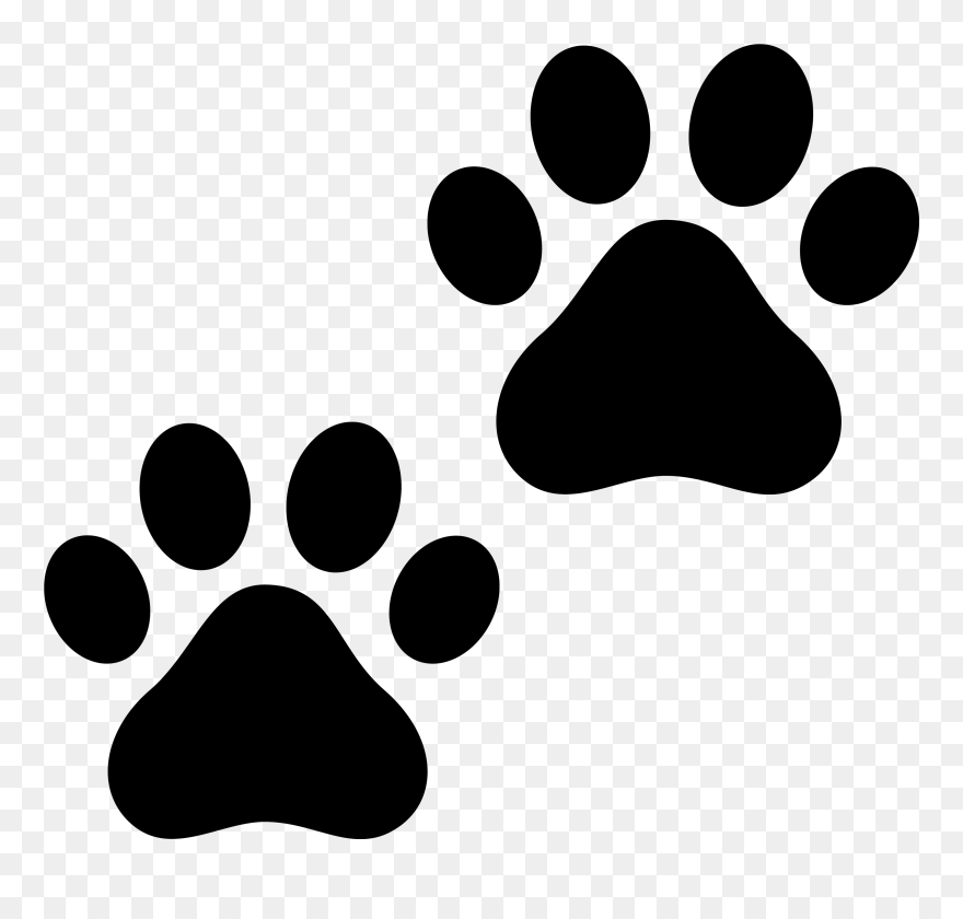 Paw Print Frame Clipart - Paw Print Clipart Black And White - Png Download