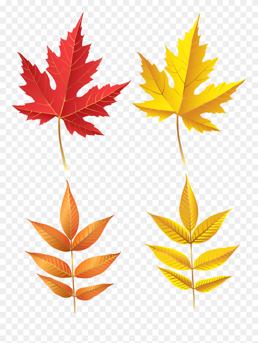Transparent Autumn Leaves Clip Art - Png Download
