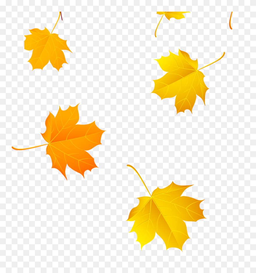 Download Maple Leaf Yellow Clip Art - Transparent Yellow Leaf Png