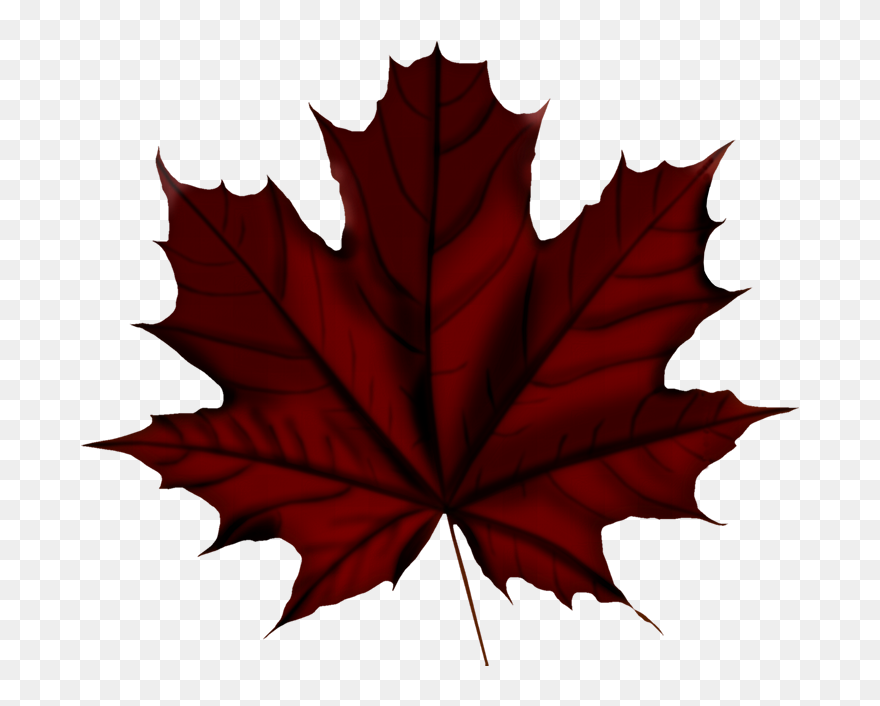 Faℓℓ ‿✿⁀○ Vintage Flowers, Filofax, Autumn Leaves Clipart