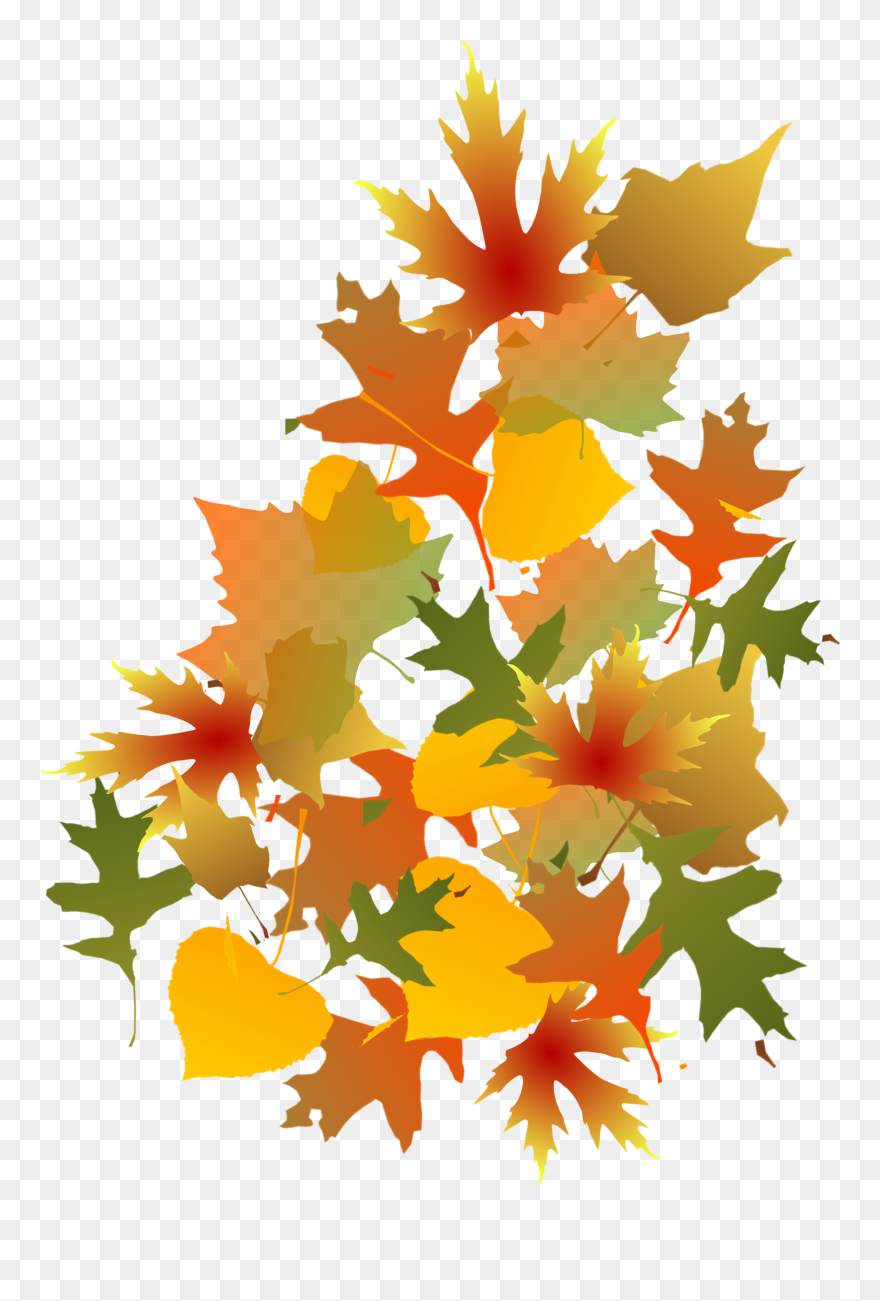 Fall Leaf Clip Art - Png Download