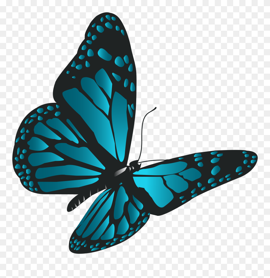 Png Download Butterfly Png Clipart