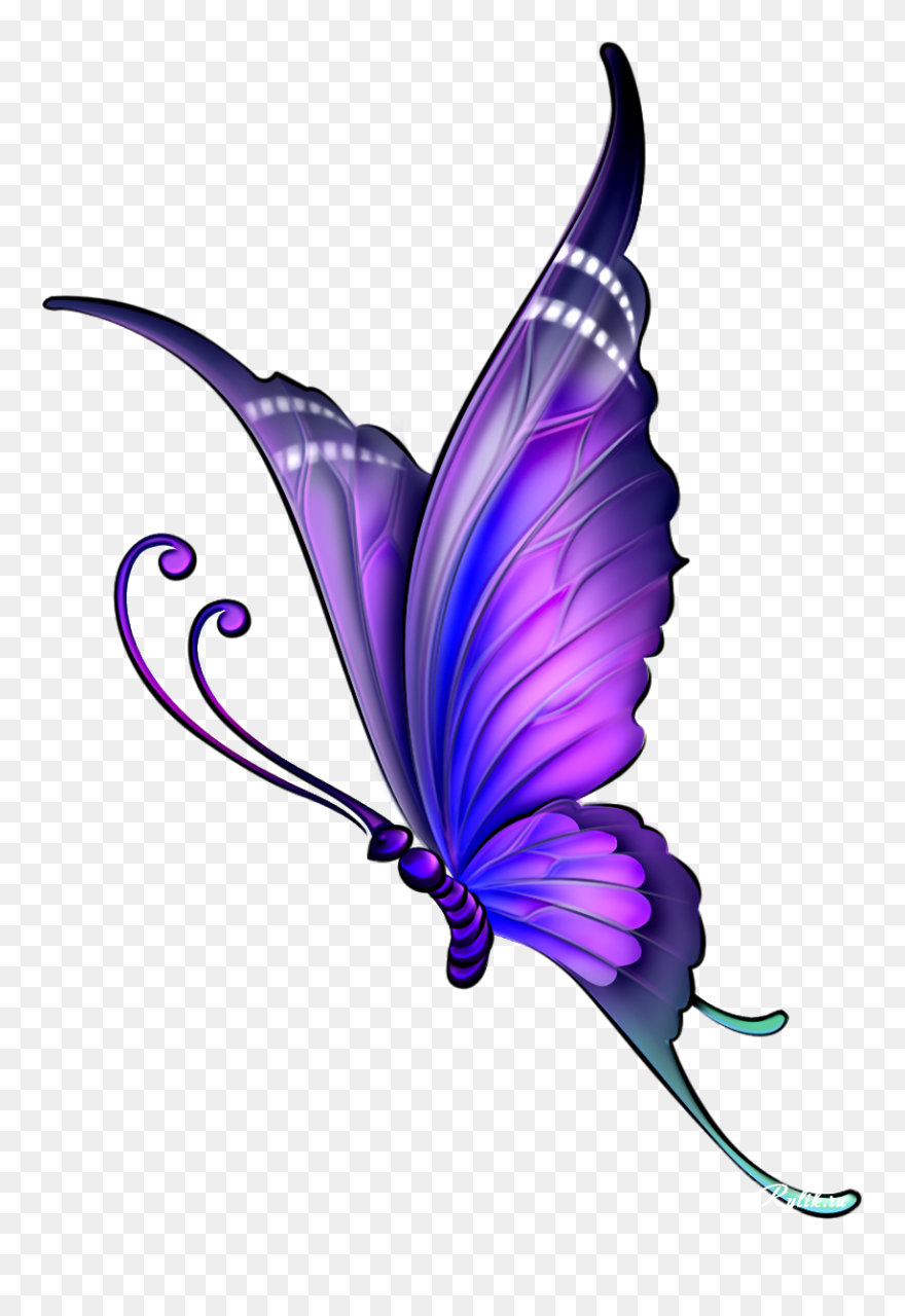 Butterfly Drawing Color Clip Art - Butterfly Drawing With Colour - Png Download