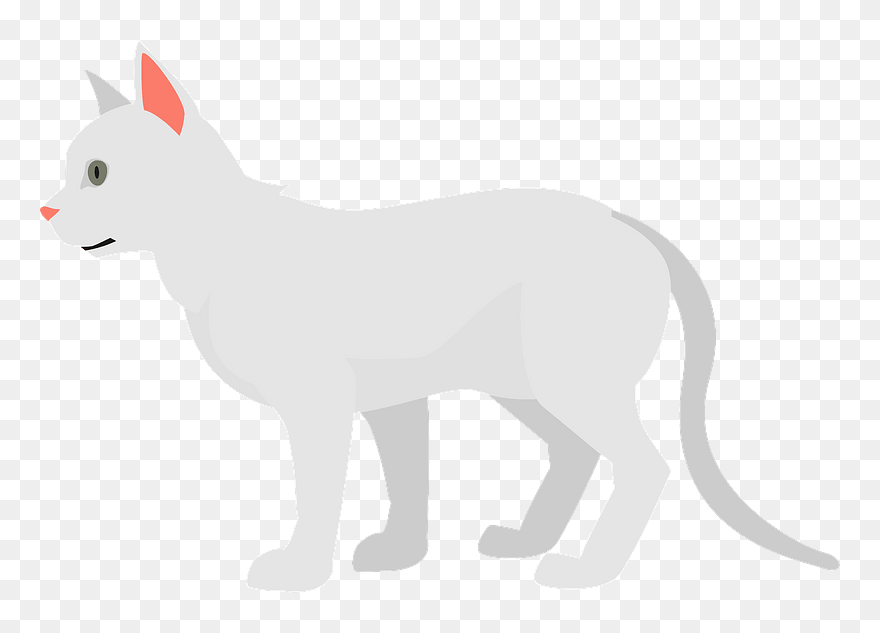 White Cat Animal Clipart - Dog - Png Download