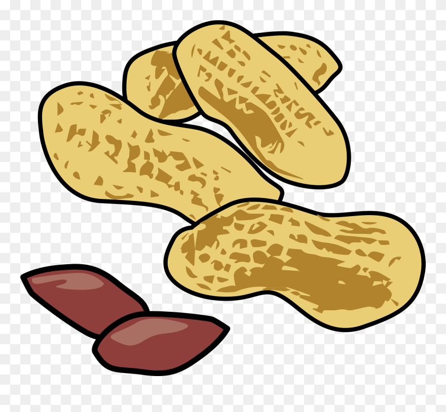 千葉 落花生 イラスト Clipart