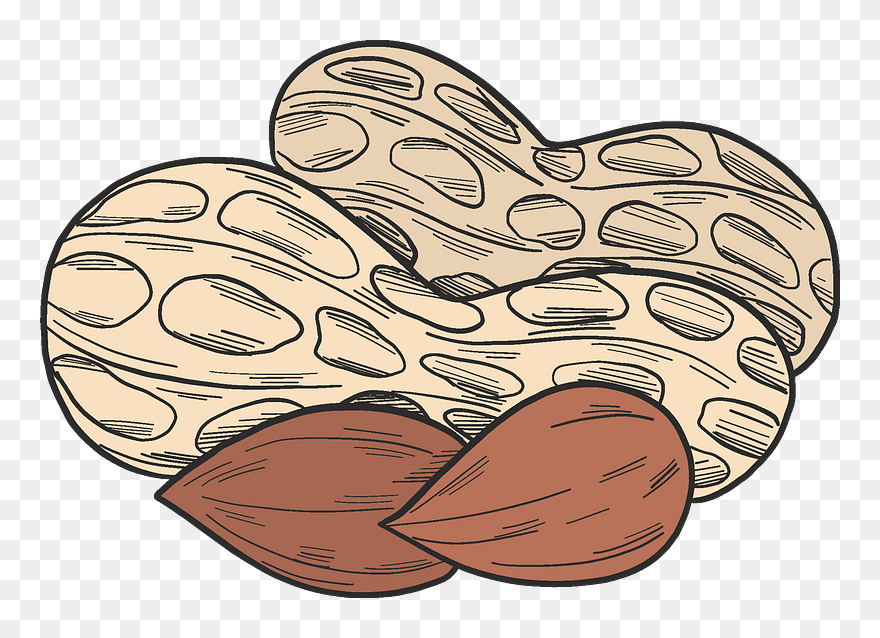 Peanuts Clipart - Png Download