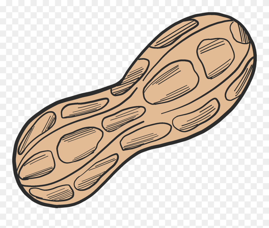 Clip Art - Png Download