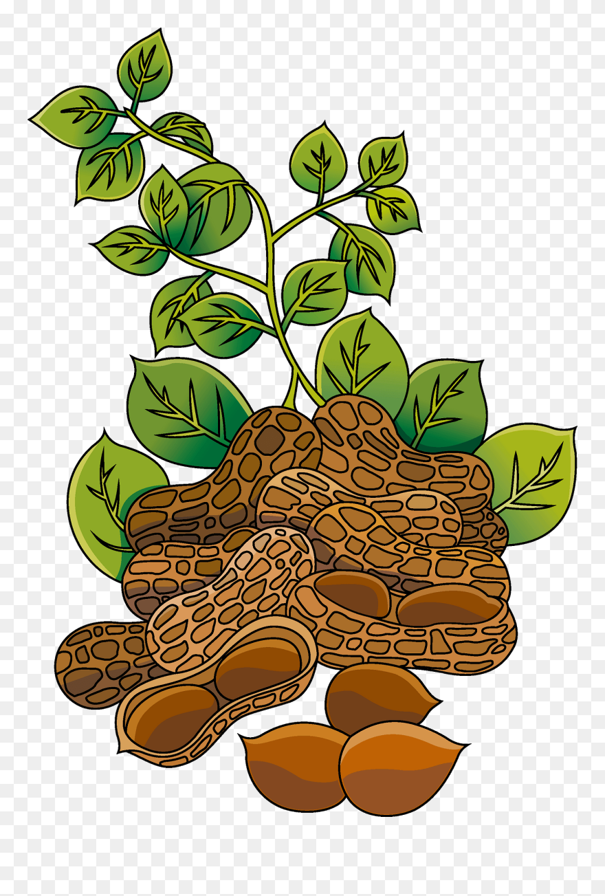 Clip Art - Png Download