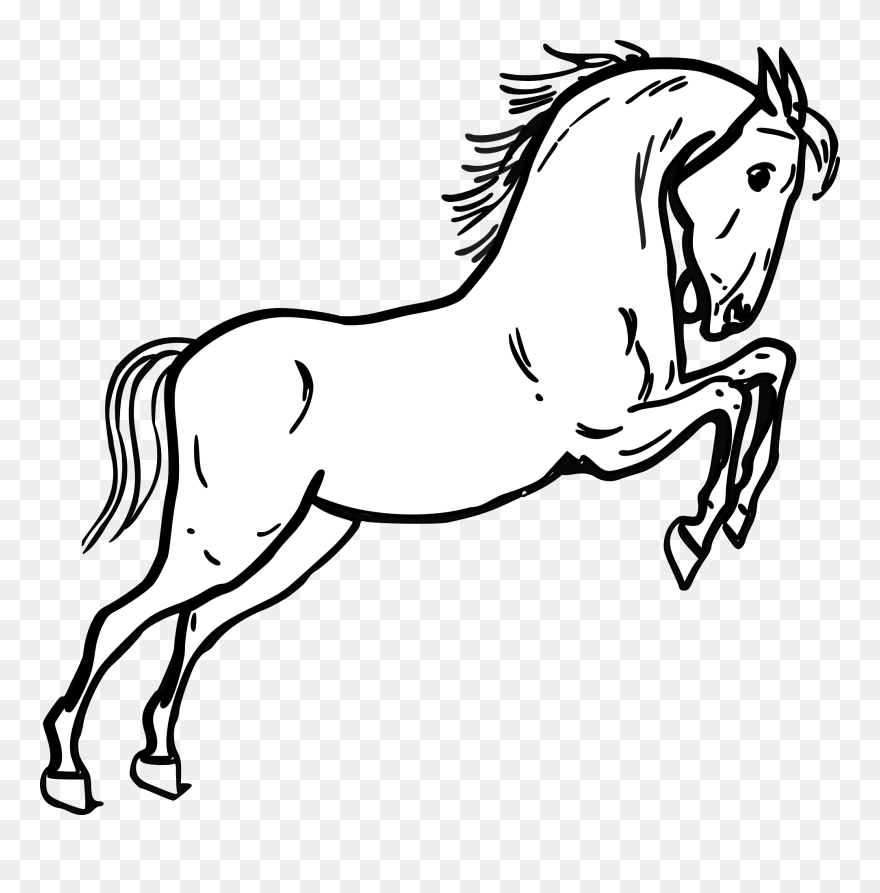 Horse Clipart Black And White - Mustang Horse Coloring Page - Png Download