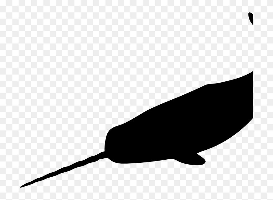 Clip Art - Png Download