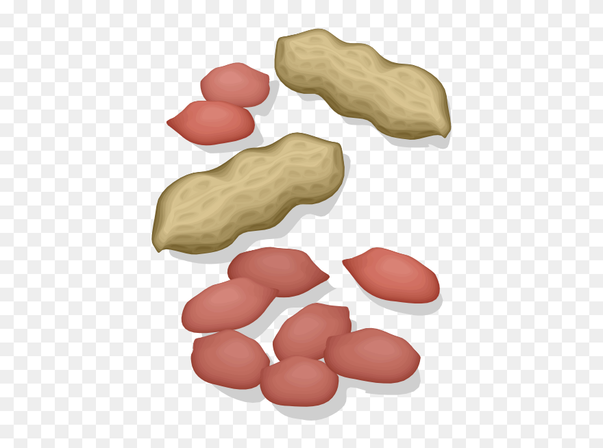 Peanuts With Crust - Kacang Tanah Cartoon Png Clipart