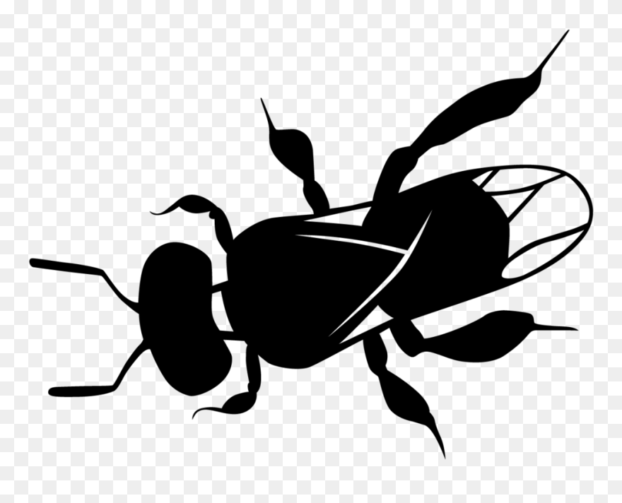 Mad Clipart Bee - Australian Native Bees Drawing - Png Download