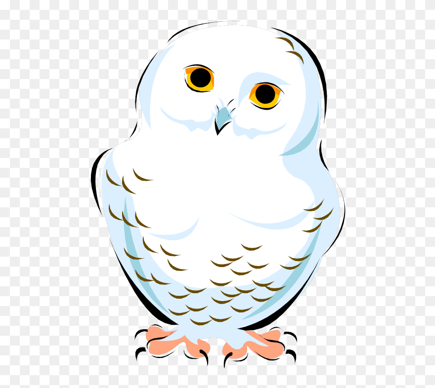 Snowy Owl Clip Art Image Vector Graphics - Cute Snowy Owl Clip Art - Png Download