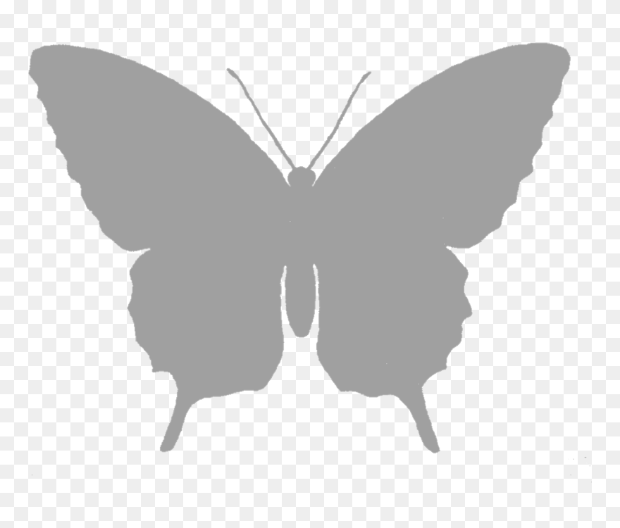 Butterfly Silhouette Black And White Clip Art - Transparent White Butterfly Png