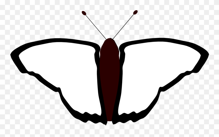 Butterfly 39 Black White Line Art Coloring Book Colouring - Coloring Book Clipart