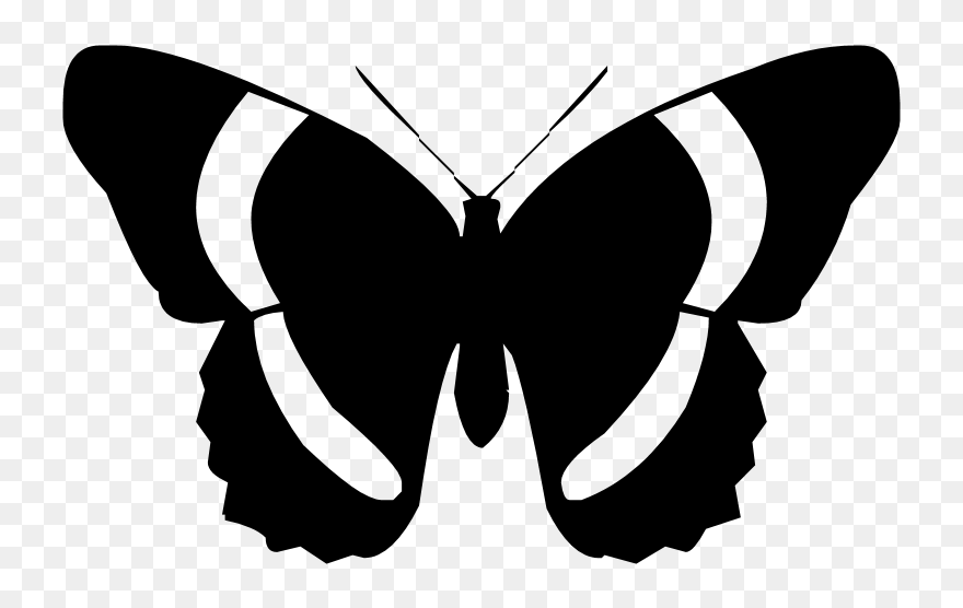 Butterfly Silhouette Clipart