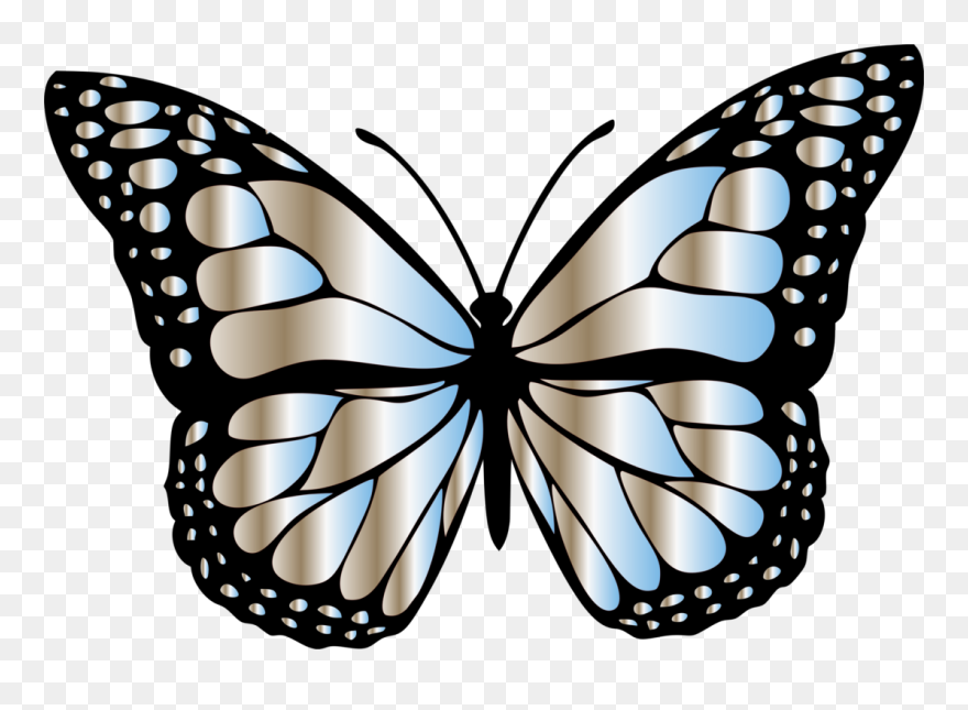 Butterfly,symmetry,moth - Butterfly Picture For Kids Clipart