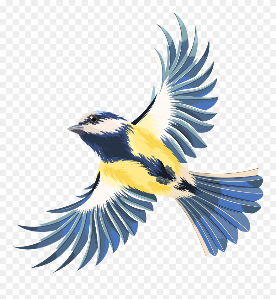 Bird Flight Bird Flight Clip Art - Flying Bird Png Clipart Transparent Png