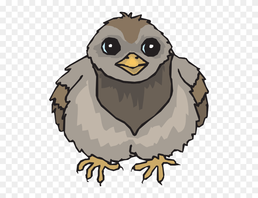 Baby Pigeon Cartoon Clipart