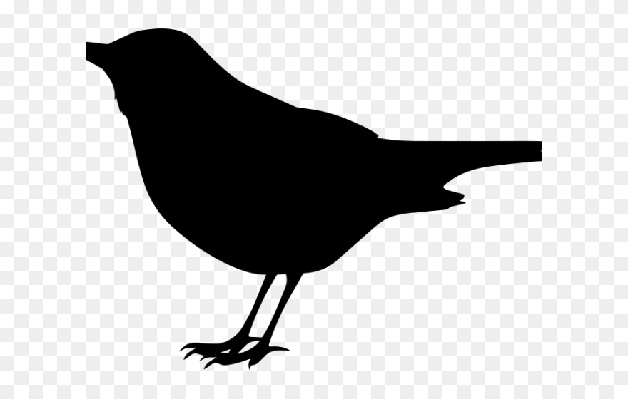 Crow Clipart Flying - Mockingbird Clipart - Png Download