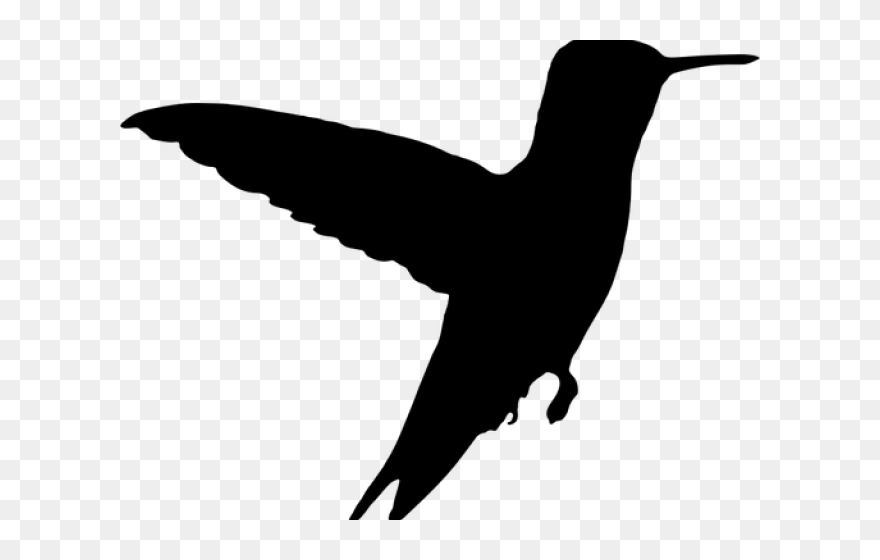 Transparent Background Bird Silhouette Png Clipart