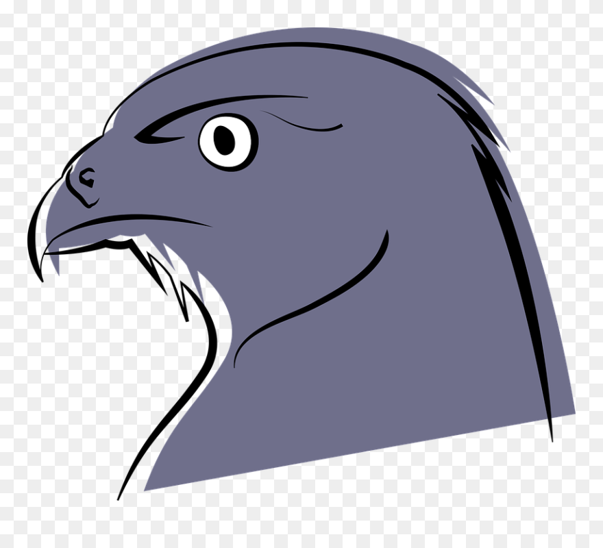 Falcon Clipart Fly Bird - Drawing Cartoon Falcon - Png Download