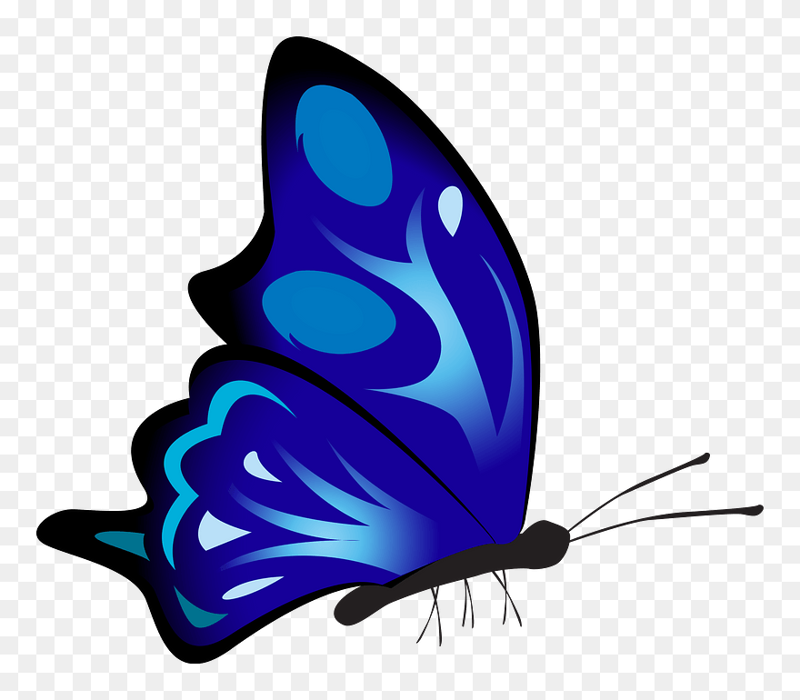 Blue Butterfly Clipart - Colourful Drawing Of Butterflies - Png Download