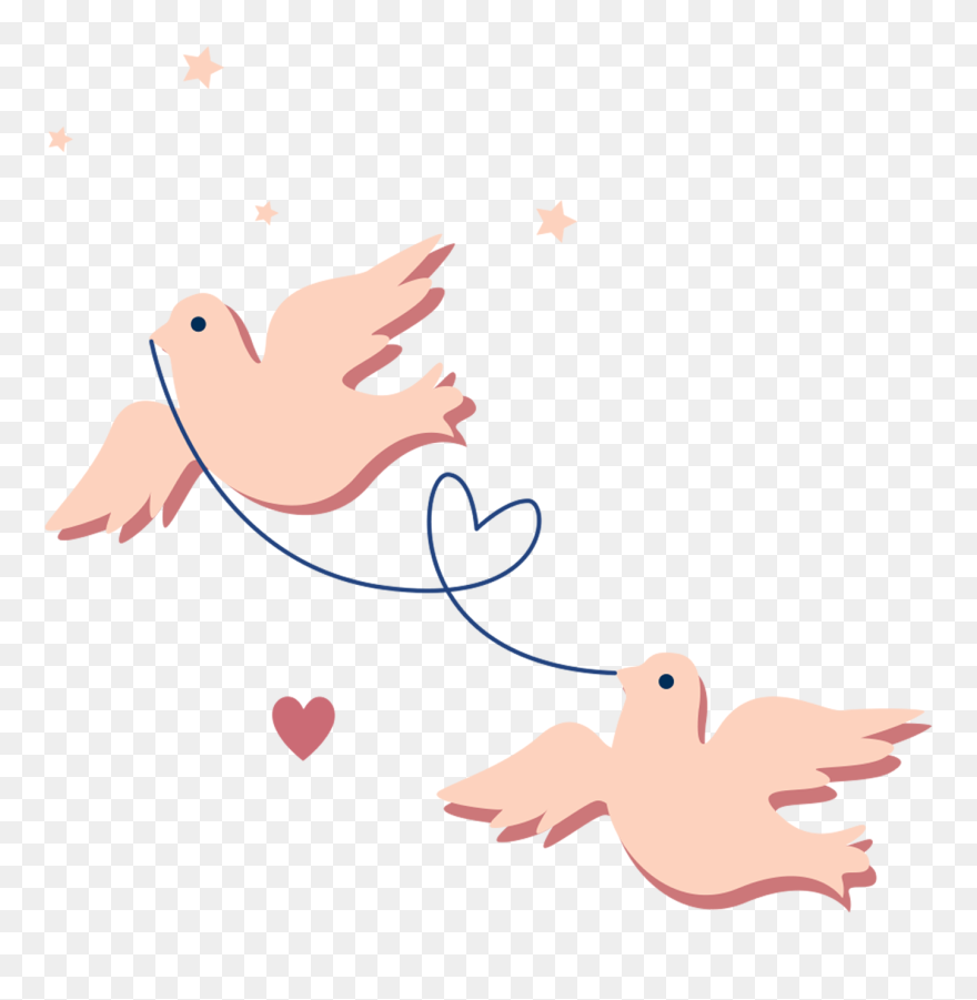 Pigeon Clipart Homing Pigeon - Paloma Rosa Png Transparent Png