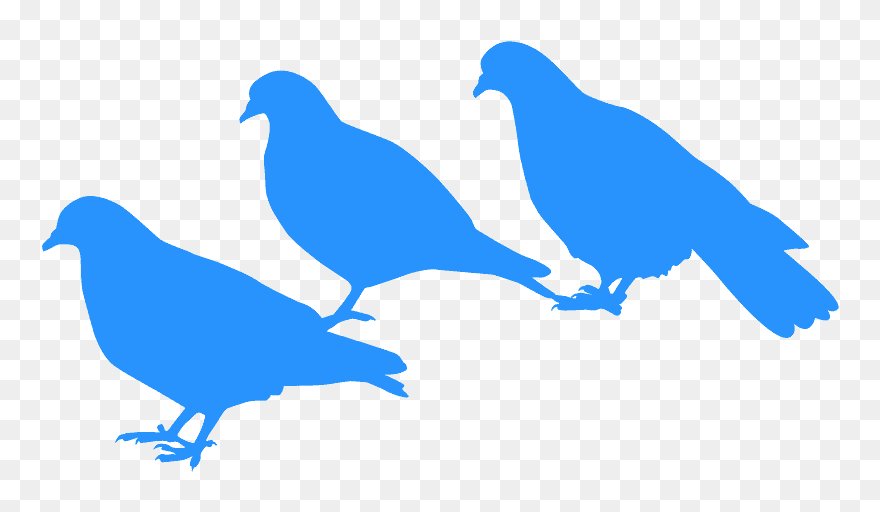 Pigeons And Doves Clipart