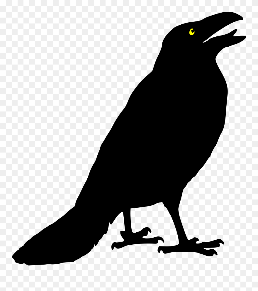 Halloween Bird Clipart Clip Art Transparent Download - Crow Clipart - Png Download