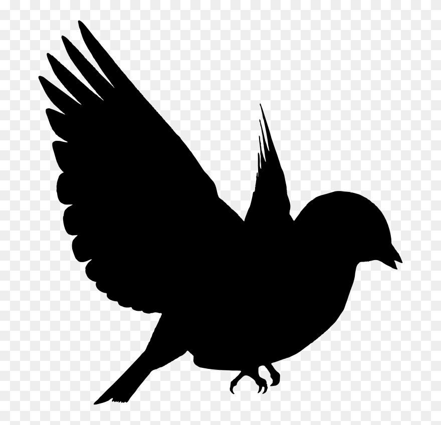 Bird Silhouette Drawing Clip Art - Bird Silhouette - Png Download